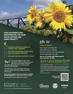 an advertisement for solar energy company with sunflowers