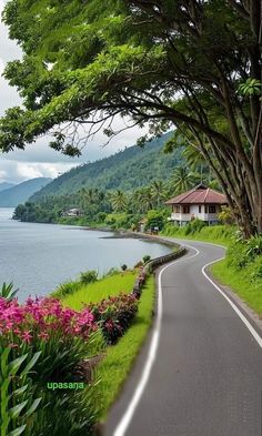 the road is lined with lush green trees and flowers next to the water's edge