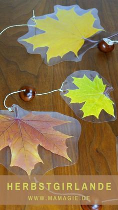 some leaves and acrylic on a wooden table