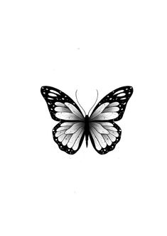 a black and white butterfly flying in the sky