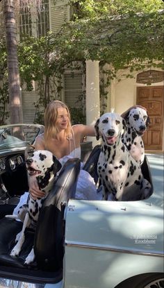 a woman sitting in the back of a car with two dalmatian dogs