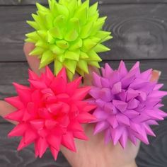 three different colored flowers in the palm of someone's hand