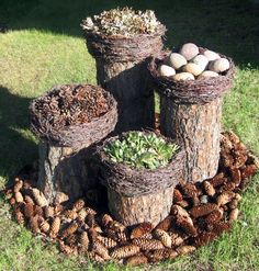 several different types of pine cones are arranged in the grass and placed on top of each other