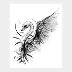 a black and white drawing of a swan with wings spread out, in front of a white background