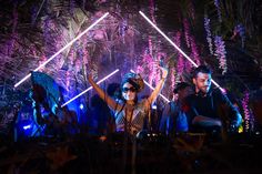 a group of people that are standing in front of some trees with lights on them