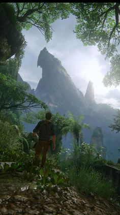 a man standing on top of a lush green forest next to a giant rock formation