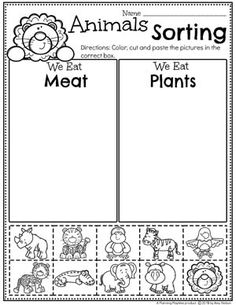 an animal sorting worksheet with pictures to help students learn how to use them