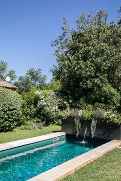 an outdoor swimming pool in the middle of a yard with trees and bushes around it