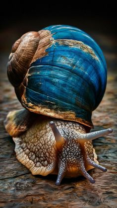 two snails are sitting on top of each other's shell, one is blue and the other is brown