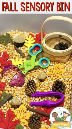 Fall Sensory Bin for Preschool. Super quick and easy to set up, this sensory bin is perfect for fall or autumn in your #preschool or #prek classroom! #prekpages Fall Sand Sensory Bin, October Preschool Sensory Bins, Preschool Fall Sensory Activities, Fall Sensory Bin Prek, Preschool Sensory Bins Fall, Preschool Fall Science Center, Fall Leaves Prek Activities, Fall Sencery Bin, Diy Fall Sensory Bin