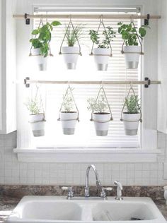 a kitchen sink under a window with potted plants hanging from the windowsills