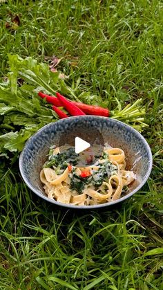 a bowl of pasta with spinach and red peppers on the grass next to it