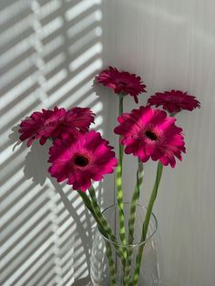 three pink flowers in a clear vase on a table next to a window with blinds