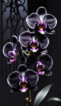 purple orchids are in a vase on a black tablecloth with an iron gate behind it