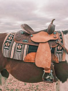 a brown and white horse wearing a saddle