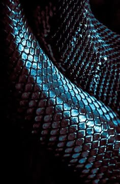 a close up view of a shiny snake skin