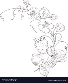 strawberrys and flowers on a white background