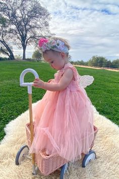 Baby Blush Butterfly Wings Lace Tulle Dress | Baby Special Occasion Dr High Low Tulle Dress, Baby Special Occasion Dress, Lace Tulle Dress, 1st Birthday Celebration, Enchanting Dress, Flower Girl Accessories, Delicate Butterfly, Infant Flower Girl Dress, Kids Party Dresses