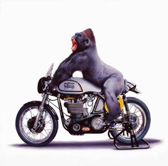 a gorilla riding on the back of a motorcycle with it's mouth wide open