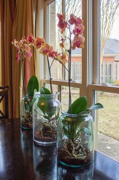 three glass vases with flowers in them on a table