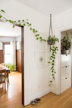 an open door leading to a kitchen and dining room with plants growing on the wall