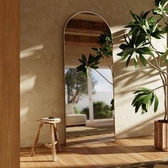 a mirror sitting on top of a wooden floor next to a potted plant