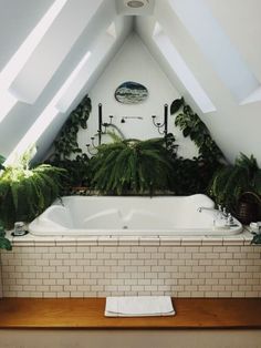 a bathtub with plants in the middle of it