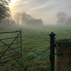 a foggy field with a gate in the foreground