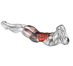 Reverse Crunch For Lower Abs V Ups, Best Lower Ab Exercises, Rectus Abdominis, Neck Tension, Best Core Workouts, Upper Abs, Core Exercise, Six Pack Abs Workout, Reverse Crunches