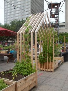 several wooden planters with plants growing in them