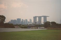 a city skyline is seen in the distance from a grassy area with trees and bushes