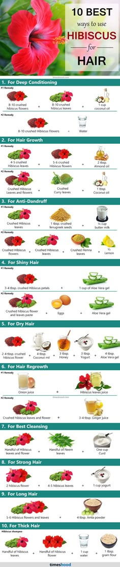 Hibiscus Hair Mask, Hibiscus Hair, Hair Mask Diy, Quick Hair Growth, Homemade Hair Treatments, Hair Care Remedies, Hair Mask For Growth, Hair Care Recipes, Natural Face Skin Care