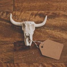 a cow's skull is on the floor with a price tag attached to it