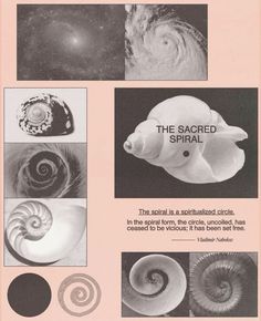 an advertisement for the sacred spiral with pictures of shells and other things in black and white