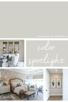 a collage of photos with the words color spotlight in white and light gray colors