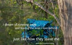 a blue bag sitting in the middle of a forest filled with trees and grass next to a tree