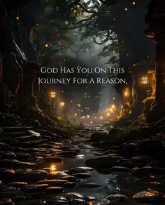 an image of a dark forest with the words god has you on this journey for a reason