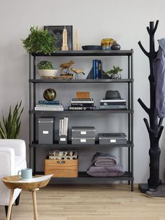 a living room with a book shelf and some plants on the wall next to it