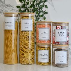 four jars filled with different types of pasta and seasoning next to a potted plant