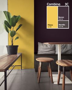 two wooden stools sit in front of a table with a potted plant on it