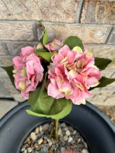 pink flowers are in a black pot on the ground