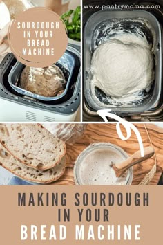 bread and sourdough are the perfect way to make sourdough in your bread machine