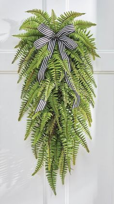 a green fern hanging on the side of a door with a black and white bow