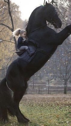 Cute Horse Pictures, Beautiful Horse Pictures, Horse Riding Clothes, Horse Inspiration, Big Horses, Dream Horse, Black Horses, Very Cute Dogs, Friesian Horse