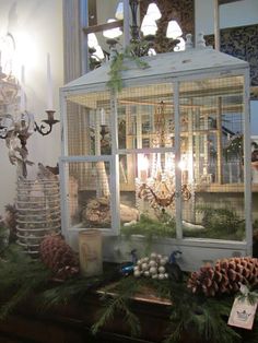 a birdcage filled with pine cones and other christmas decorations sitting on top of a table