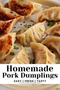 homemade pork dumplings are served on a plate