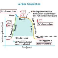 a diagram showing the location of different substances