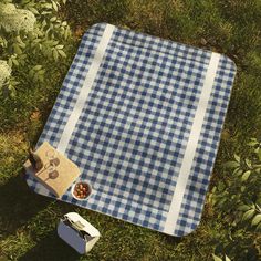 a blue and white checkered picnic blanket sitting on the grass next to a bowl of fruit