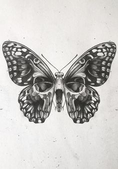 a black and white drawing of a butterfly