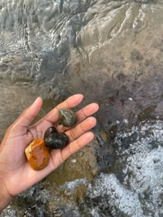 a person holding two rocks in their hand near the water's edge, while another holds it up